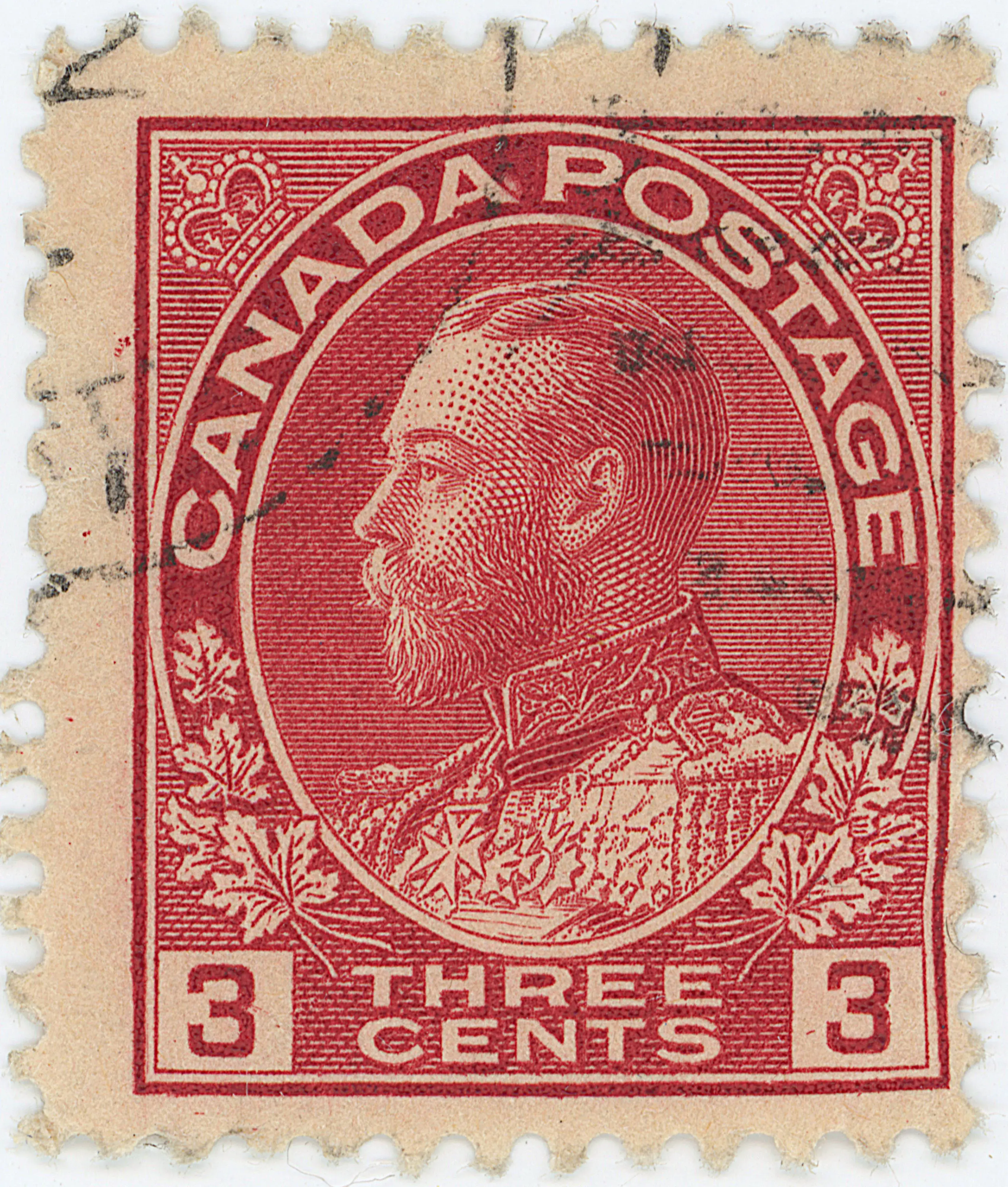 3¢C TLD 45M b.webp